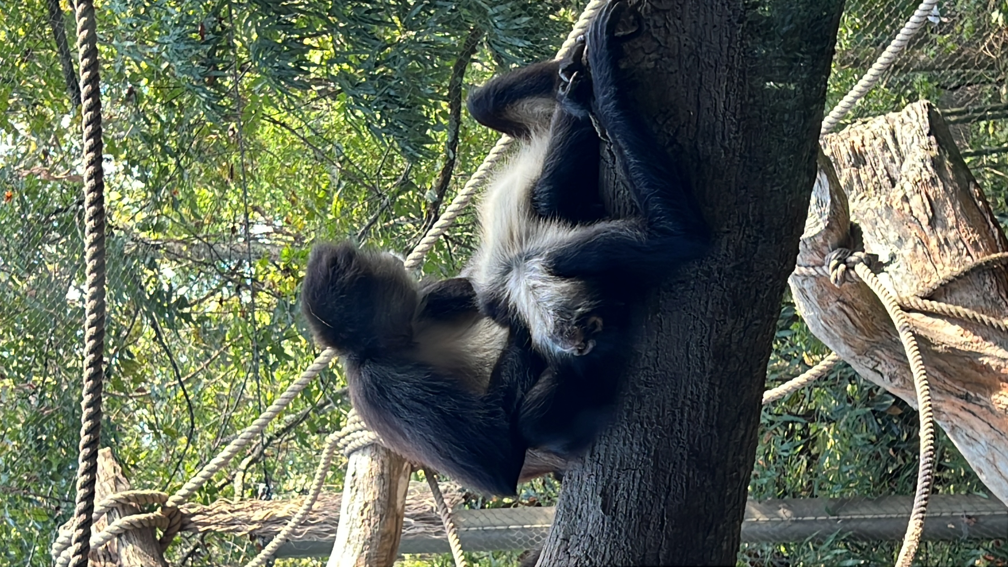 ./2025/11 - Nashville Trip/IMG_7219.JPG